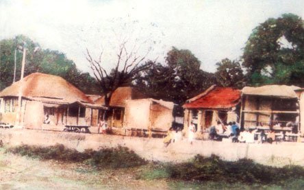 Low thatched and tin-roofed buildings among trees at the ashram in Himaitpur